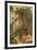 The Orange Gatherers-John William Waterhouse-Framed Giclee Print