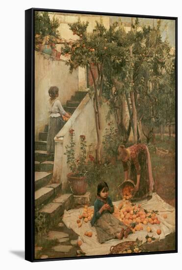 The Orange Gatherers-John William Waterhouse-Framed Stretched Canvas