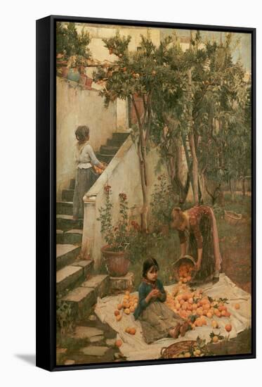 The Orange Gatherers-John William Waterhouse-Framed Stretched Canvas