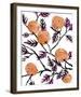 The Orange Tree's Gift-Kristine Hegre-Framed Giclee Print