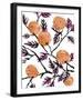 The Orange Tree's Gift-Kristine Hegre-Framed Giclee Print