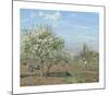 The Orchard, 1872-Camille Pissarro-Mounted Premium Giclee Print