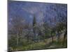 The Orchard, 1881-Alfred Sisley-Mounted Giclee Print