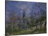 The Orchard, 1881-Alfred Sisley-Stretched Canvas