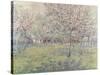The Orchard at Blossom Time-Juliette Wytsman-Stretched Canvas