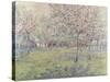 The Orchard at Blossom Time-Juliette Wytsman-Stretched Canvas
