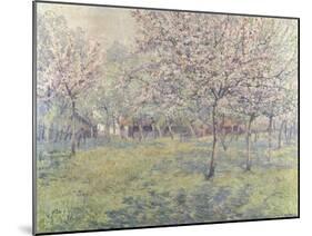 The Orchard at Blossom Time-Juliette Wytsman-Mounted Giclee Print