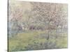 The Orchard at Blossom Time-Juliette Wytsman-Stretched Canvas