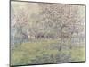 The Orchard at Blossom Time-Juliette Wytsman-Mounted Giclee Print