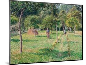 The Orchard at Éragny, 1896-Camille Pissarro-Mounted Giclee Print