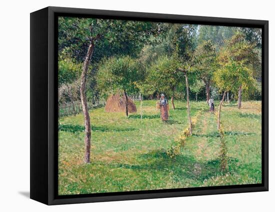 The Orchard at Éragny, 1896-Camille Pissarro-Framed Stretched Canvas