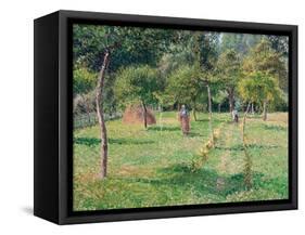 The Orchard at Éragny, 1896-Camille Pissarro-Framed Stretched Canvas