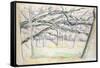 The Orchard, c.1895-Paul Cézanne-Framed Stretched Canvas