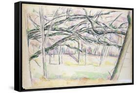 The Orchard, c.1895-Paul Cézanne-Framed Stretched Canvas