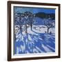 The Orchard in Winter, Morzine-Andrew Macara-Framed Giclee Print