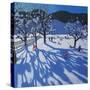 The Orchard in Winter, Morzine-Andrew Macara-Stretched Canvas