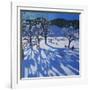 The Orchard in Winter, Morzine-Andrew Macara-Framed Giclee Print