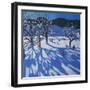 The Orchard in Winter, Morzine-Andrew Macara-Framed Giclee Print