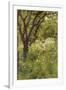 The Orchard-Thomas Cooper Gotch-Framed Giclee Print