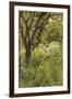 The Orchard-Thomas Cooper Gotch-Framed Giclee Print