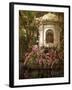 The Orchid Show-Jessica Jenney-Framed Giclee Print