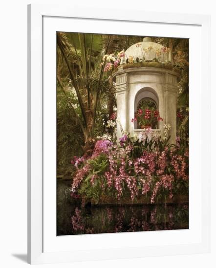 The Orchid Show-Jessica Jenney-Framed Giclee Print