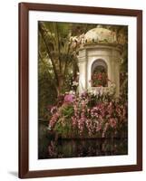 The Orchid Show-Jessica Jenney-Framed Giclee Print