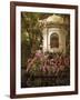 The Orchid Show-Jessica Jenney-Framed Giclee Print