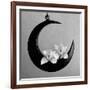 The Orchids Of The Moon, 2006-Hiroyuki Arakawa-Framed Photographic Print