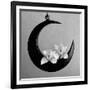 The Orchids Of The Moon, 2006-Hiroyuki Arakawa-Framed Photographic Print