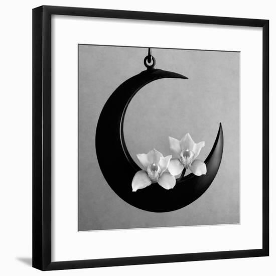 The Orchids Of The Moon, 2006-Hiroyuki Arakawa-Framed Photographic Print