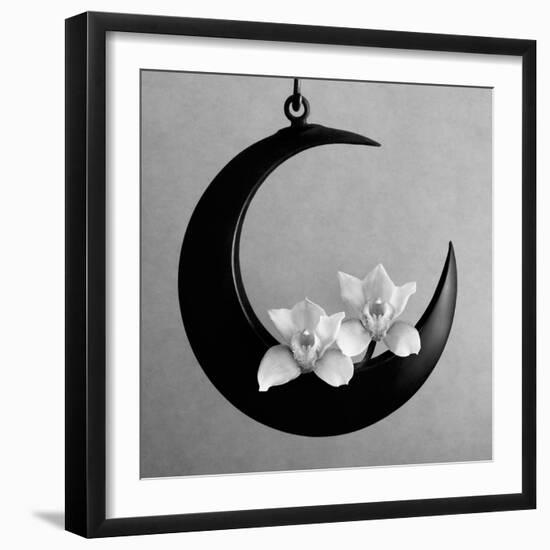 The Orchids Of The Moon, 2006-Hiroyuki Arakawa-Framed Photographic Print