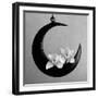 The Orchids Of The Moon, 2006-Hiroyuki Arakawa-Framed Photographic Print