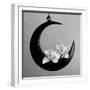 The Orchids Of The Moon, 2006-Hiroyuki Arakawa-Framed Photographic Print