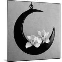 The Orchids Of The Moon, 2006-Hiroyuki Arakawa-Mounted Photographic Print