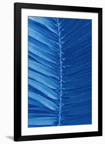 The Order of Nature II-null-Framed Giclee Print