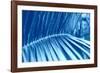 The Order of Nature III-null-Framed Giclee Print