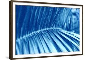 The Order of Nature III-null-Framed Giclee Print