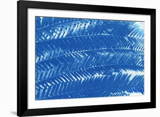 The Order of Nature IV-null-Framed Giclee Print