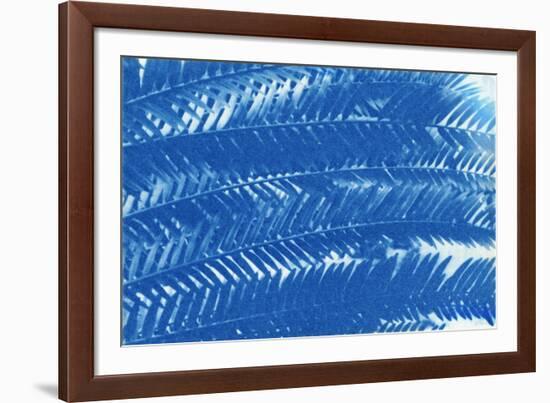 The Order of Nature IV-null-Framed Giclee Print