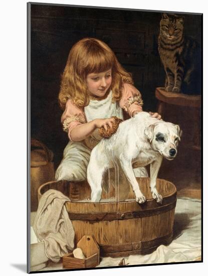 The Order of the Bath-Charles Burton Barber-Mounted Giclee Print