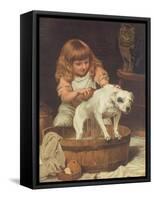 The Order of the Bath-Charles Burton Barber-Framed Stretched Canvas