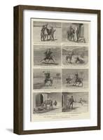 The Orderly Officer's Mule, a Tale of Indian Life-null-Framed Giclee Print