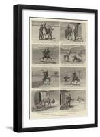 The Orderly Officer's Mule, a Tale of Indian Life-null-Framed Giclee Print