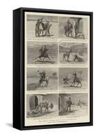 The Orderly Officer's Mule, a Tale of Indian Life-null-Framed Stretched Canvas