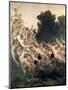 The Oreads, 1902-William Adolphe Bouguereau-Mounted Giclee Print