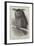 The Oriental Eagle Owl, Zoological Gardens-null-Framed Giclee Print