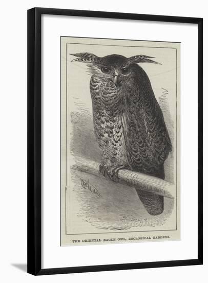 The Oriental Eagle Owl, Zoological Gardens-null-Framed Giclee Print