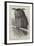 The Oriental Eagle Owl, Zoological Gardens-null-Framed Giclee Print