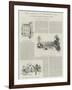 The Origin of Primrose Day, an Unwritten Chapter in Political History, by Frederick Greenwood-Herbert Railton-Framed Giclee Print